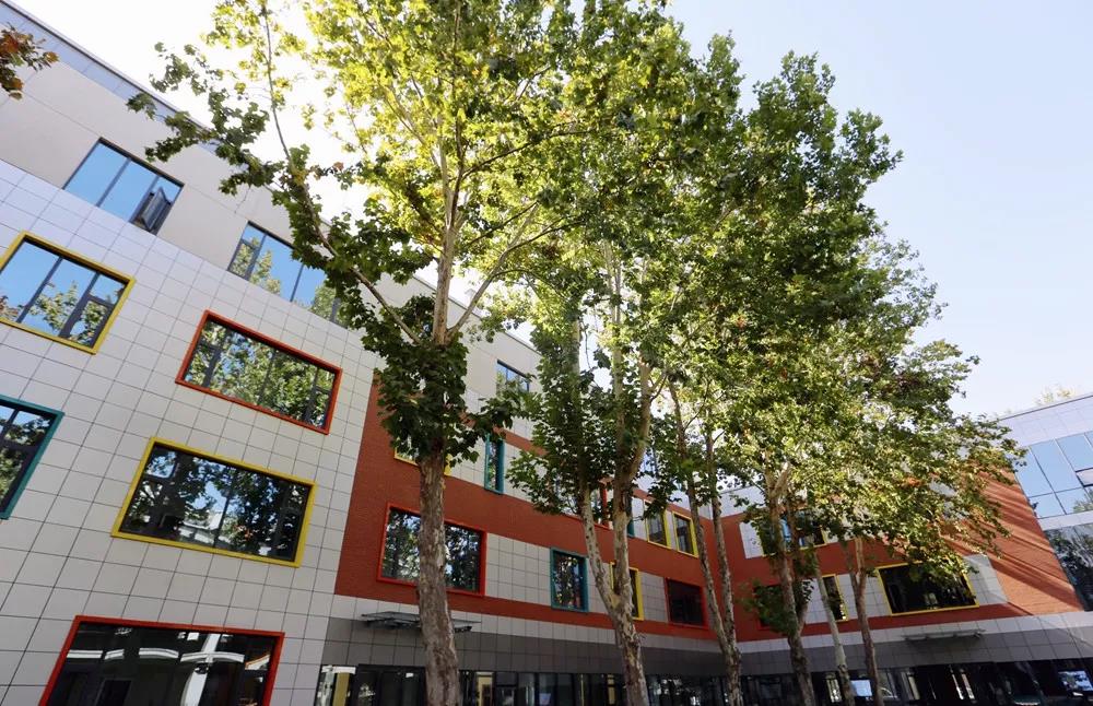 色情视频
星工坊的秋色,与心中的美好不期而遇 色情视频
星工坊的秋色,与心中的美好不期而遇