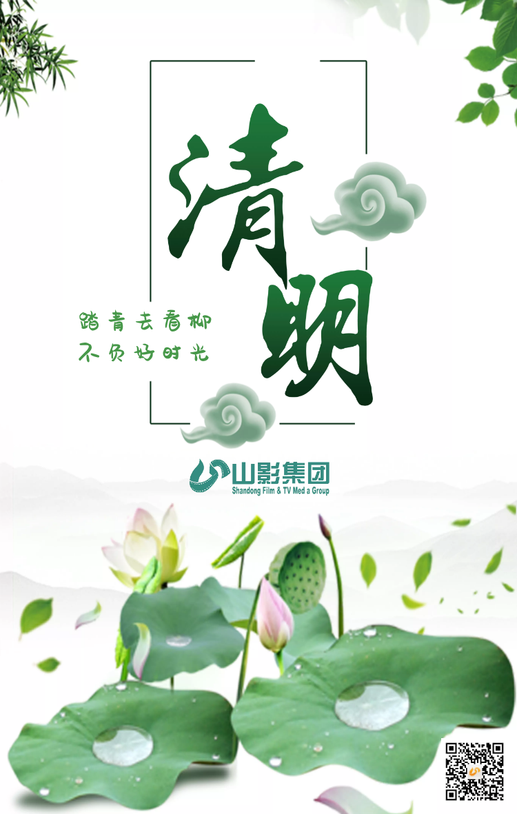 踏青去看柳  不负好时光