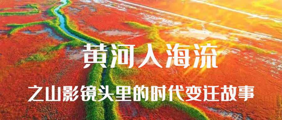 黄河入海流之色情视频
镜头里的时代变迁故事