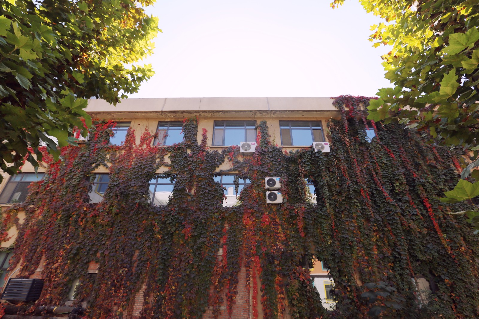 色情视频
星工坊的秋色，与心中的美好不期而遇