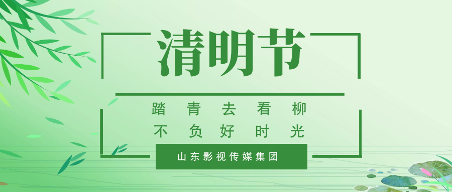 踏青去看柳  不负好时光