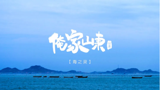 精彩呈现 | 俺家山东的故事还在继续